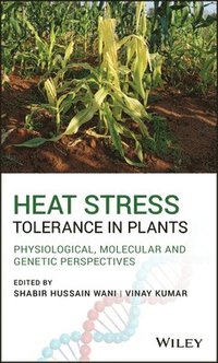 bokomslag Heat Stress Tolerance in Plants