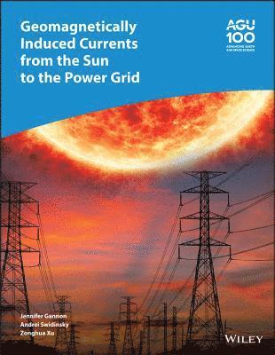 bokomslag Geomagnetically Induced Currents from the Sun to the Power Grid