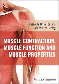 bokomslag Muscle Contraction, Muscle Function and Muscle Pro perties
