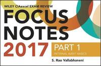 bokomslag Wiley CIAexcel Exam Review Focus Notes 2017, Part 1