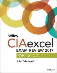 bokomslag Wiley CIAexcel Exam Review 2017, Part 2