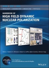 bokomslag Handbook of High Field Dynamic Nuclear Polarization