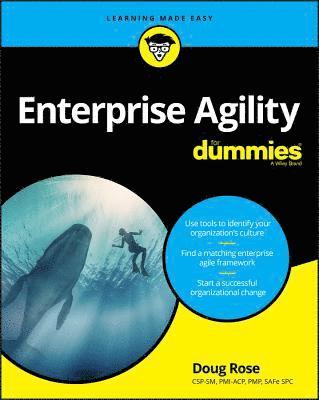Doug Rose - Enterprise Agility For Dummies, Häftad