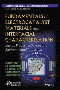 bokomslag Fundamentals of Electrocatalyst Materials and Interfacial Characterization
