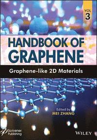 bokomslag Handbook of Graphene, Volume 3