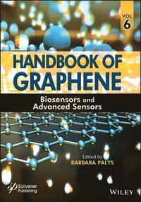bokomslag Handbook of Graphene, Volume 6