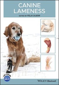 bokomslag Canine Lameness