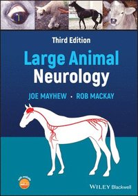 bokomslag Large Animal Neurology