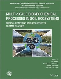 bokomslag Multi-Scale Biogeochemical Processes in Soil Ecosystems