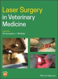 bokomslag Laser Surgery in Veterinary Medicine