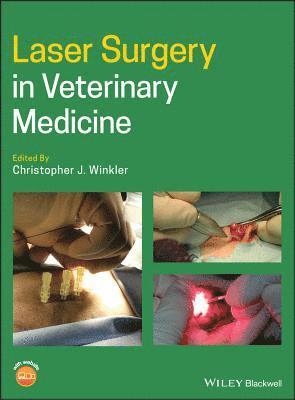 Laser Surgery in Veterinary Medicine 1