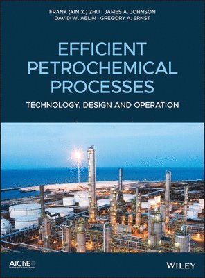Frank (Xin X.) Zhu, James A. Johnson, David W. Ablin, Gregory A. Ernst - Efficient Petrochemical Processes, Inbunden
