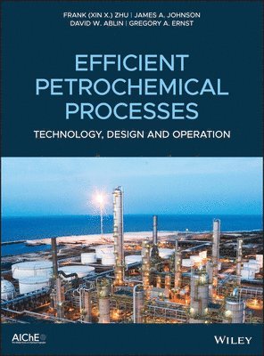 Efficient Petrochemical Processes 1