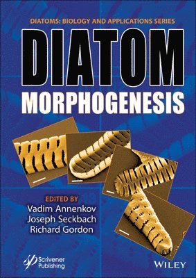 Vadim V. Annenkov, Joseph Seckbach, Richard Gordon - Diatom Morphogenesis, Inbunden