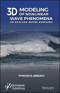 bokomslag 3D Modeling of Nonlinear Wave Phenomena on Shallow Water Surfaces