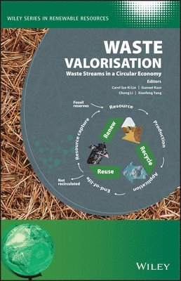 bokomslag Waste Valorisation