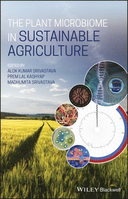 bokomslag The Plant Microbiome in Sustainable Agriculture