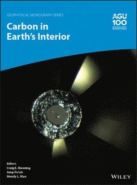bokomslag Carbon in Earth's Interior