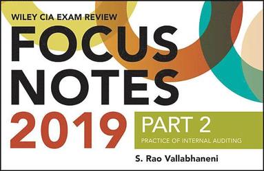 bokomslag Wiley CIAexcel Exam Review Focus Notes 2019, Part 2