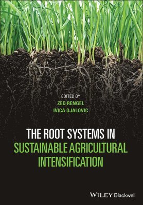 bokomslag The Root Systems in Sustainable Agricultural Intensification