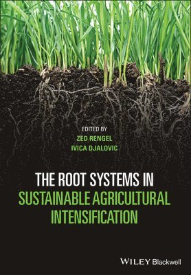 Zed Rengel, Ivica Djalovic, Zed (University of Western Australia) Rengel, Serbia) Djalovic, Ivica (Institute of Field and Vegetable Crops, Novi Sad - Root Systems in Sustainable Agricultural Intensification, Inbunden
