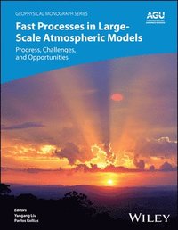bokomslag Fast Processes in Large-Scale Atmospheric Models