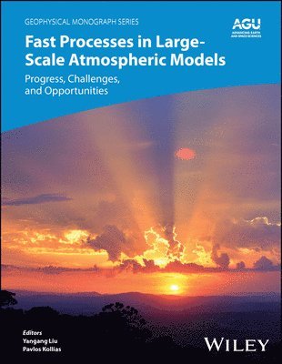Yangang Liu, Pavlos Kollias, USA) Liu, Yangang (Brookhaven National Laboratory, USA) Kollias, Pavlos (Brookhaven National Laboratory; Stony Brook University - Fast Processes in Large-Scale Atmospheric Models, Inbunden