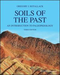 bokomslag Soils of the Past