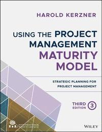 bokomslag Using the Project Management Maturity Model