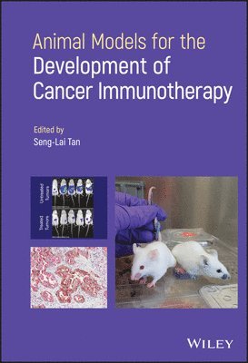 bokomslag Animal Models for the Development of Cancer Immunotherapy