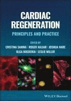 bokomslag Cardiac Regeneration: Principles And Practice