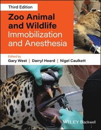 bokomslag Zoo Animal and Wildlife Immobilization and Anesthe sia