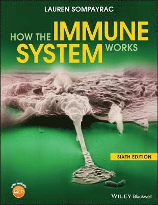 bokomslag How the Immune System Works, Sixth Edition