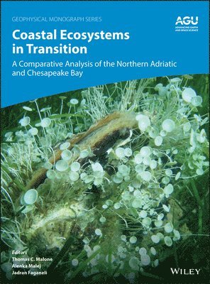 Coastal Ecosystems in Transition 1