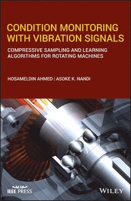 Condition Monitoring with Vibration Signals 1