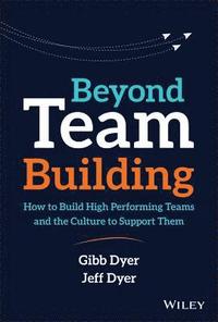 bokomslag Beyond Team Building