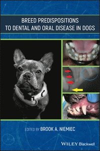 bokomslag Breed Predispositions to Dental and Oral Disease in Dogs