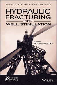 bokomslag Hydraulic Fracturing and Well Stimulation, Volume 1