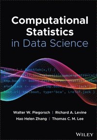 bokomslag Computational Statistics in Data Science