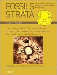 bokomslag Ediacaran Microfossils from the Doushantuo Formation Chert Nodules in the Yangtze Gorges Area, South China, and New Biozones