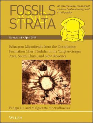 Pengju Liu, Malgorzata Moczydlowska - Ediacaran Microfossils from the Doushantuo Formation Chert Nodules in the Yangtze Gorges Area, South China, and New Biozones, Häftad