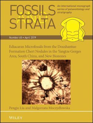 bokomslag Ediacaran Microfossils from the Doushantuo Formation Chert Nodules in the Yangtze Gorges Area, South China, and New Biozones