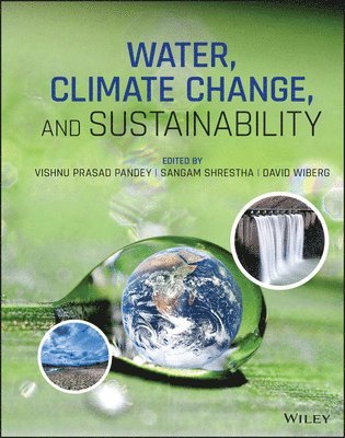 Vishnu Prasad Pandey, Sangam Shrestha, David Wiberg - Water, Climate Change, and Sustainability, Inbunden