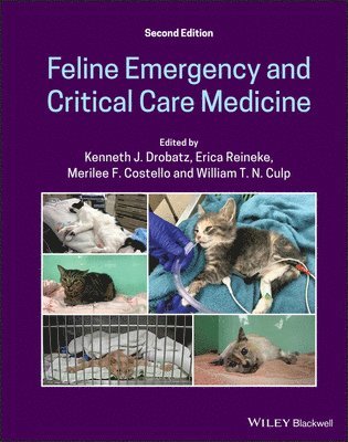 bokomslag Feline Emergency and Critical Care Medicine