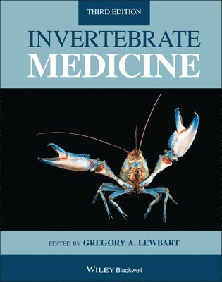 bokomslag Invertebrate Medicine