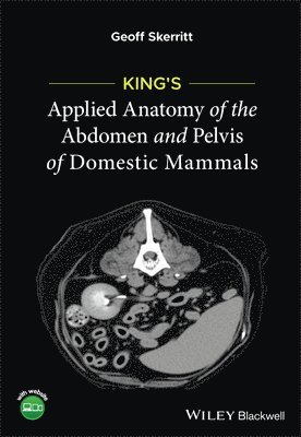 bokomslag King's Applied Anatomy of the Abdomen and Pelvis of Domestic Mammals