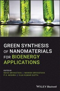 bokomslag Green Synthesis of Nanomaterials for Bioenergy Applications