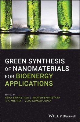 Neha Srivastava, Manish Srivastava, P. K. Mishra, Vijai Kumar Gupta - Green Synthesis of Nanomaterials for Bioenergy Applications, Inbunden