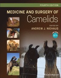bokomslag Medicine and Surgery of Camelids