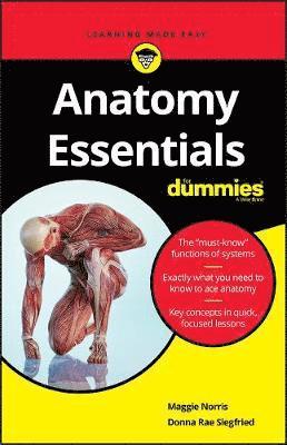 Maggie A. Norris, Donna Rae Siegfried, Maggie Norris, Maggie A Norris - Anatomy Essentials For Dummies, Häftad